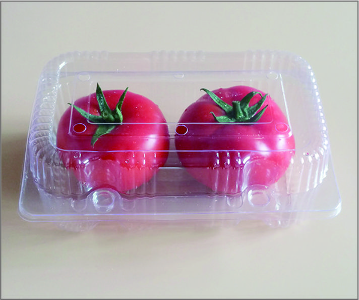 Plastic Fruit And Vegetable Box Food Containers